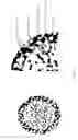 Fig. 05 - Electrode compositions and alkali metal batteries comprising same