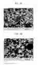 Fig. 11 - Carbonaceous material, anode active material including the same, lithium battery including the anode active material, and method of preparing the carbonaceous material