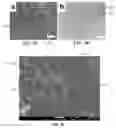Fig. 04 - Coating Particles