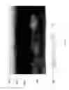 Fig. 09 - Layered Electrolytes and Modules for Solid Oxide Cells