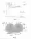 Fig. 05 - Crimp contact with improved contacting and crimp connection
