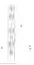 Fig. 55 - Photonic integrated circuit including compact lasers with extended tunability