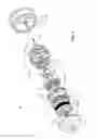 Fig. 06 - Electric traction drives