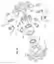 Fig. 44 - Electric traction drives