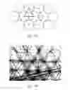 Fig. 53 - Translucent building material