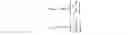 Fig. 67 - Fractional scaling digital signal processing