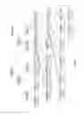 Fig. 03 - Memory preserving parse tree based compression with entropy coding