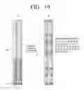 Fig. 20 - Transmitting apparatus and interleaving method thereof
