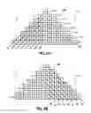 Fig. 06 - Diagonal anti-diagonal memory structure