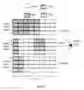 Fig. 18 - Method for assisting a user in improving wireless device link quality