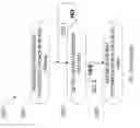 Fig. 03 - Synchronization to upstream bursts