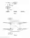 Fig. 07 - Synchronization device, method, program and system