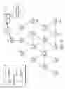 Fig. 06 - Network traffic control during limited power situations