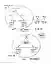 Fig. 16 - Communication system, wireless communication apparatus, and communication method