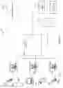 Fig. 18 - Network routing and security within a mobile radio network