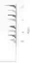 Fig. 03 - Method and apparatus for controlling upload size of device