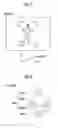 Fig. 08 - Imaging control device, imaging control method, camera, camera system, and program