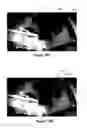 Fig. 22 - Using images of a monitored scene to identify windows