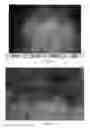 Fig. 07 - IMAGE CAPTURING DEVICE AND METHOD