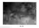 Fig. 08 - IMAGE CAPTURING DEVICE AND METHOD