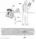 Fig. 01 - Portable pipe inspection systems and apparatus