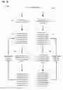 Fig. 05 - Projection and/or waveguide arrangements for a software configurable lighting device