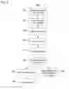 Fig. 06 - Image capturing device and method thereof