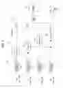 Fig. 03 - Transmission device, transmission method, and reception device