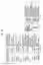 Fig. 136 - BROADCAST TRANSMITTING DEVICE, BROADCAST RECEIVING DEVICE, OPERATING METHOD FOR BROADCAST TRANSMITTING DEVICE AND OPERATING METHOD FOR BROADCAST RECEIVING DEVICE