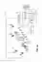 Fig. 06 - Storing data in motion by optical and electrical conversion of signals
