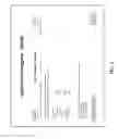 Fig. 07 - Emergency Communications Management