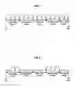 Fig. 02 - Wireless communication apparatus, wireless communication system, wireless communication method and program