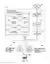 Fig. 12 - Authorizing secured wireless access at hotspot according to user-specific access credential received from client device during predetermined sign-up process