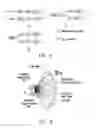 Fig. 03 - Network entry method of millimeter wave communication system and related apparatueses using the same