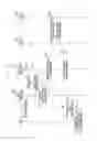 Fig. 12 - Method and apparatus for increasing communication effectiveness of terminal in power-saving mode