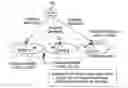 Fig. 01 - Paging in a wireless network