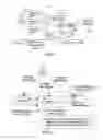 Fig. 02 - Paging in a wireless network