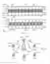 Fig. 16 - Telecommunications apparatus and methods
