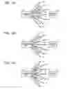 Fig. 04 - Beamforming for selecting a transmitting direction based on feedback from a reception device
