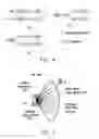 Fig. 03 - Post network entry connection method in millimeter wave communication system and related apparatuses using the same