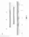 Fig. 10 - WIRELESS LOCAL AREA NETWORK (WLAN) UPLINK TRANSCEIVER SYSTEMS AND METHODS