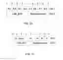 Fig. 10 - System and method for multi-carrier network operation