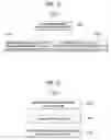 Fig. 11 - METHOD FOR TRANSMITTING AND RECEIVING CONTROL INFORMATION FOR BROADCAST MULTICAST SERVICE, AND DEVICE THEREFOR