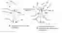 Fig. 01 - METHODS IN WIRELESS BODY AREA NETWORKS AND A HUB FOR A WIRELESS BODY AREA NETWORK