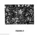 Fig. 09 - AUSTENITIC STAINLESS STEELS INCLUDING MOLYBDENUM