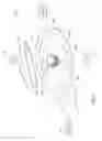 Fig. 08 - Luminaire with transmissive filter and adjustable illumination pattern