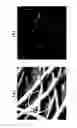 Fig. 07 - Method of manufacturing electroconductive nanowire network using electron beam, transparent electrode and electronic device using the same