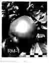 Fig. 05 - Apple tree named 'RM-1'