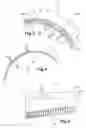 Fig. 04 - Curved delimbing blade, use of same, corresponding delimbing head and cutting kit