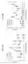 Fig. 23 - Tomato plants allowing the establishment of mites
